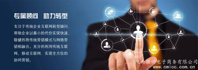 西安最专业的全网营销策划公司 互联网销售的新引擎
